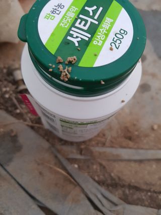 서선희님의 딸기 · 영농일지 작성글 사진