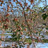 팜모닝 자유주제·사진전 게시글 이미지