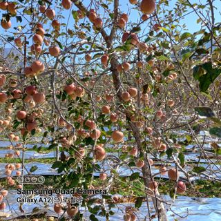 최동구님의 자유주제 · 사진전 작성글 사진