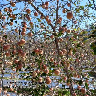 최동구님의 자유주제 · 사진전 작성글 사진