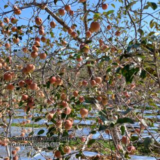 최동구님의 자유주제 · 사진전 작성글 사진