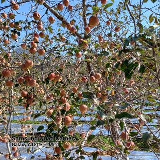 최동구님의 자유주제 · 사진전 작성글 사진