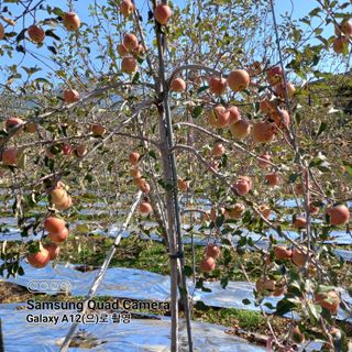 최동구님의 자유주제 · 사진전 작성글 사진