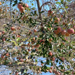 최동구님의 자유주제 · 사진전 작성글 사진