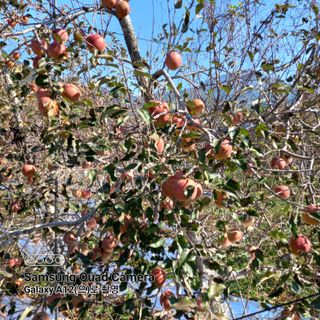 최동구님의 자유주제 · 사진전 작성글 사진