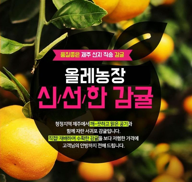 장터 상품 [맛있는 서귀포 조생감귤, 노지황금향 판매합니다 ] 썸네일