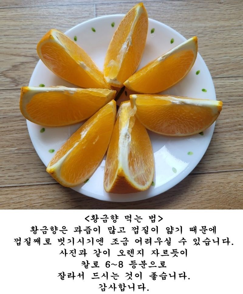 김경철님의 장터 판매 상품 [맛있는 서귀포 조생감귤, 노지황금향 판매합니다 ] 첨부 사진