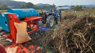 조병대님의 들깨 · 자유게시판 작성글 사진