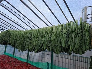 강정희님의 기타작물 · 자유게시판 작성글 사진