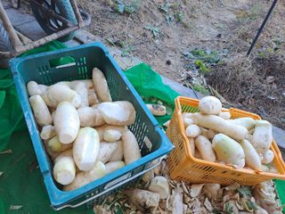 강정희님의 기타작물 · 자유게시판 작성글 사진