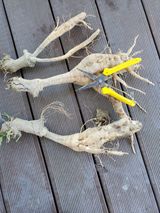 팜모닝 자유주제·자유게시판 게시글 이미지