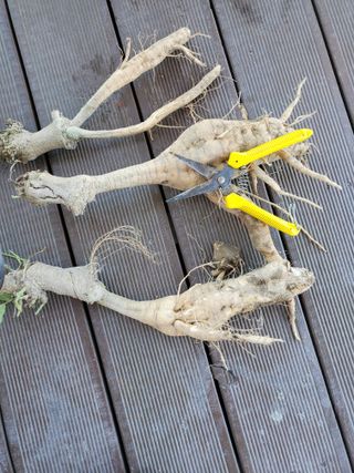 김나영 (천일염소금님의 자유주제 · 자유게시판 작성글 사진