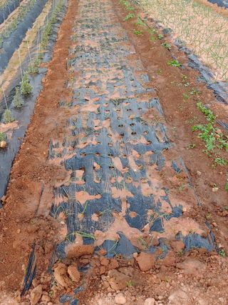 블루아이스님의 자유주제 · 자유게시판 작성글 사진