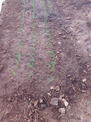 블루아이스님의 자유주제 · 자유게시판 작성글 사진