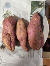 팜모닝 고구마·자유게시판 게시글 이미지