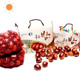 팜모닝 옥수수·영농일지 게시글 이미지