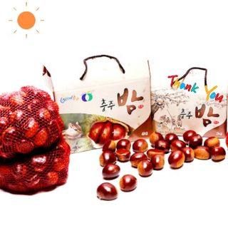 힐링촌가님의 옥수수 · 영농일지 작성글 사진