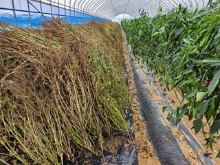 홍미옥님의 자유주제 · 자유게시판 작성글 사진