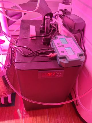 정진수님의 상추 · 자유게시판 작성글 사진