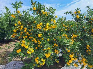 알 수 없음님의 작성글 사진