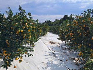 알 수 없음님의 작성글 사진