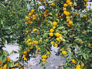 알 수 없음님의 작성글 사진