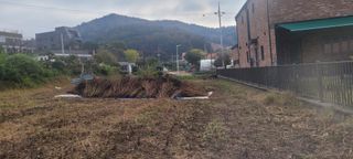 가짜농부님의 들깨 · 자유게시판 작성글 사진