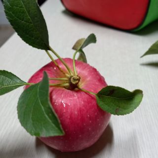 최동구님의 [팜춘문예] 짧은 시 쓰기 · 참여글 작성글 사진