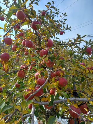 최동구님의 [팜춘문예] 짧은 시 쓰기 · 참여글 작성글 사진