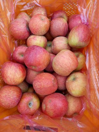 최동구님의 [팜춘문예] 짧은 시 쓰기 · 참여글 작성글 사진