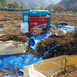 팜모닝 들깨·영농일지 게시글 이미지