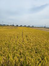 팜모닝 [팜춘문예] 짧은 시 쓰기·참여글 게시글 이미지