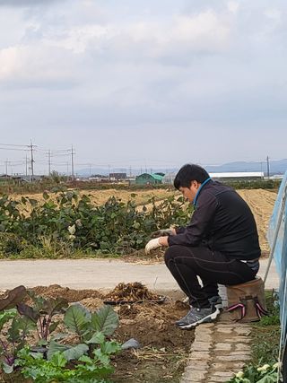 박순례님의 [팜춘문예] 짧은 시 쓰기 · 참여글 작성글 사진