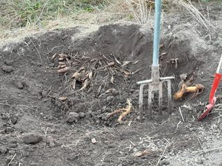 이창신님의 장터이야기 · 자유게시판 작성글 사진