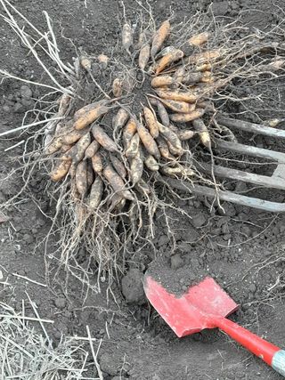 이창신님의 장터이야기 · 자유게시판 작성글 사진