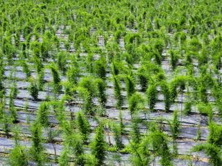 이창신님의 장터이야기 · 자유게시판 작성글 사진