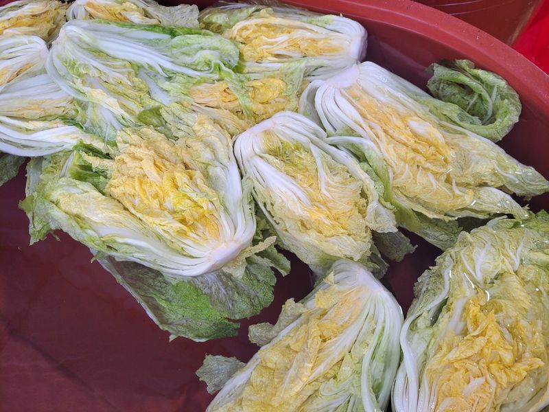 정권옥님의 장터 판매 상품 [항암절임배추 20kg] 첨부 사진