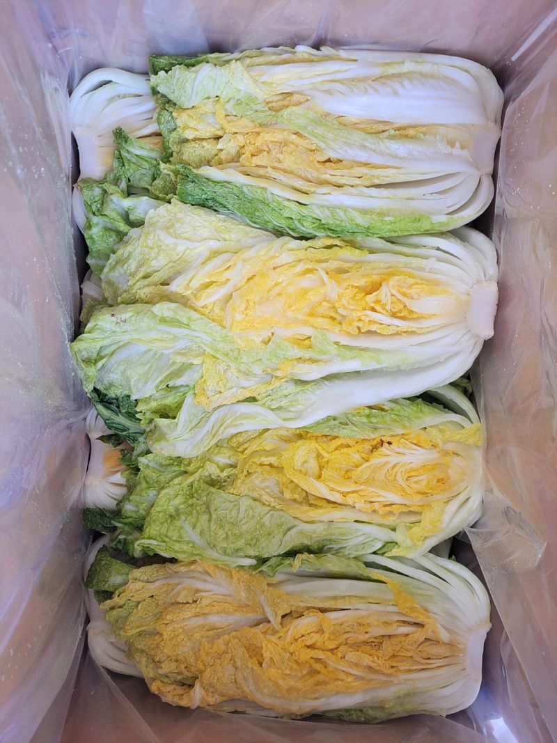 정권옥님의 장터 판매 상품 [항암절임배추 20kg] 첨부 사진