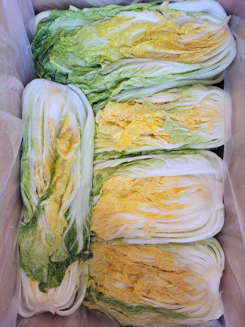 정권옥님의 장터 판매 상품 [항암절임배추 20kg] 첨부 사진