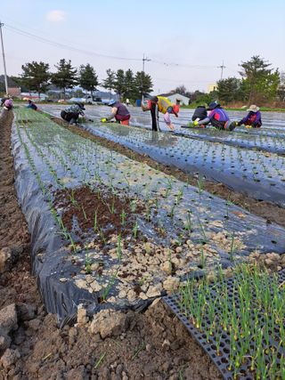 좋은인연님의 자유주제 · 자유게시판 작성글 사진