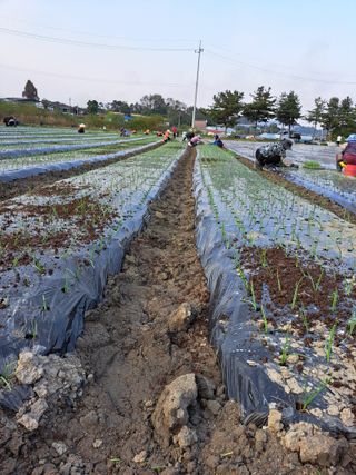 좋은인연님의 자유주제 · 자유게시판 작성글 사진