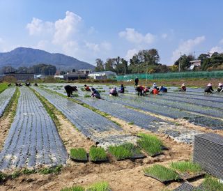 좋은인연님의 자유주제 · 자유게시판 작성글 사진