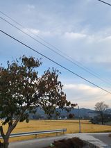 팜모닝 [팜춘문예] 짧은 시 쓰기·참여글 게시글 이미지