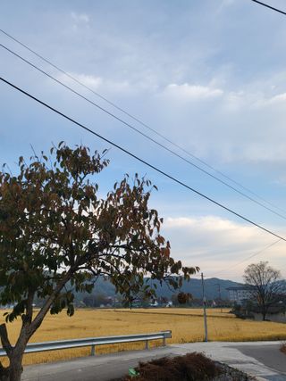 박수연님의 [팜춘문예] 짧은 시 쓰기 · 참여글 작성글 사진