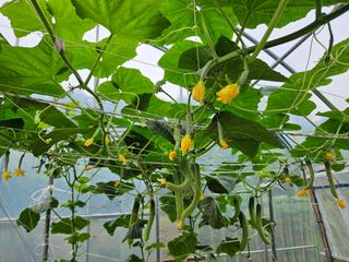 서산이은숙님의 매일매일 농사공부 · 자유게시판 작성글 사진