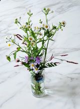 팜모닝 [팜춘문예] 짧은 시 쓰기·참여글 게시글 이미지