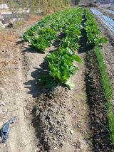 팜모닝 자유주제·자유게시판 게시글 이미지