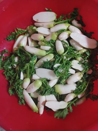 이상애초보농업님의 자유주제 · 자유게시판 작성글 사진