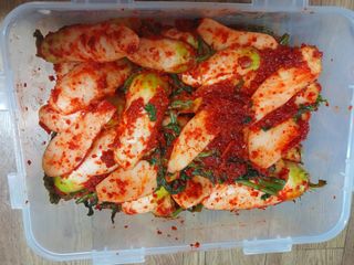 이상애초보농업님의 자유주제 · 자유게시판 작성글 사진