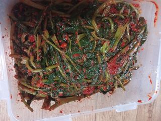 이상애초보농업님의 자유주제 · 자유게시판 작성글 사진